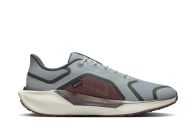 Nike Pegasus 41 GORE-TEX Waterproof Road