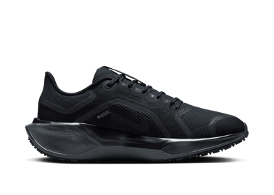 Nike Pegasus 41 GORE-TEX Waterproof Road