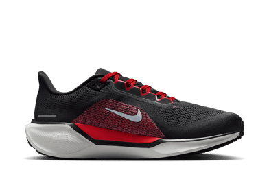 Nike Pegasus 41 Road (Extra Wide)