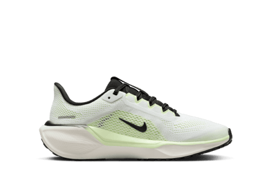 Nike Pegasus 41 Road (GS)