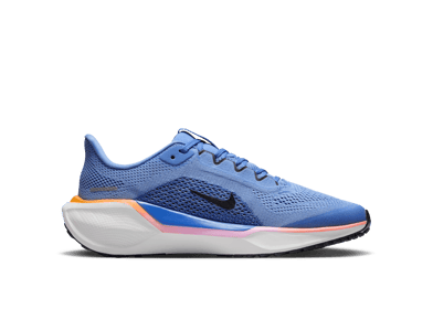 Nike Pegasus 41 Road (GS)