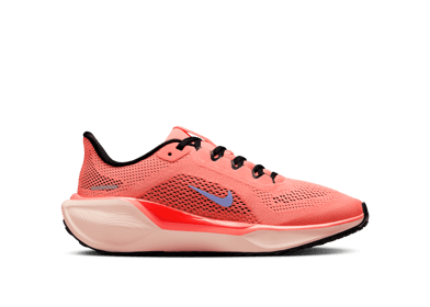 Nike Pegasus 41 Road (GS)