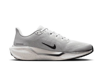 Nike Pegasus 41 Road