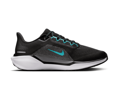 Nike Pegasus 41 Road