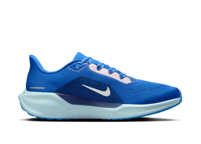 Nike Pegasus 41 Road