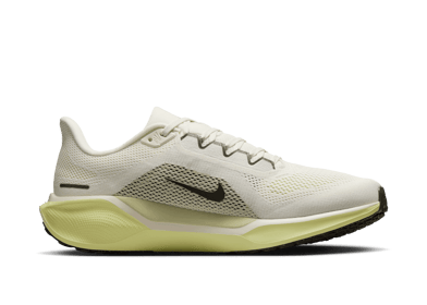 Nike Pegasus 41 Road