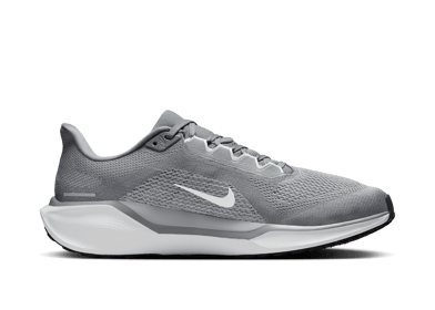 Nike Pegasus 41 Road