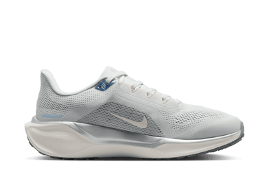 Nike Pegasus 41 Road