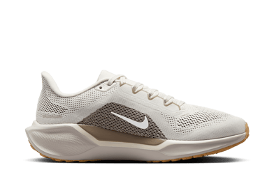 Nike Pegasus 41 Road