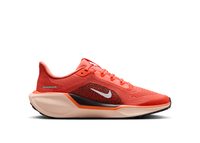 Nike Pegasus 41 Road