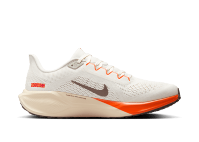 Nike Pegasus 41 Road