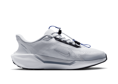 Nike Pegasus EasyOn Road