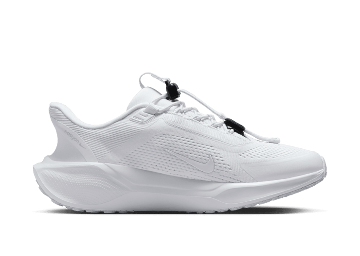Nike Pegasus EasyOn Road