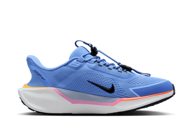 Nike Pegasus EasyOn Road