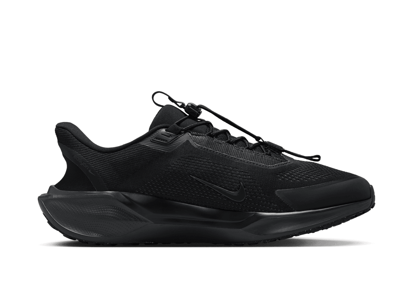 Nike Pegasus EasyOn Road