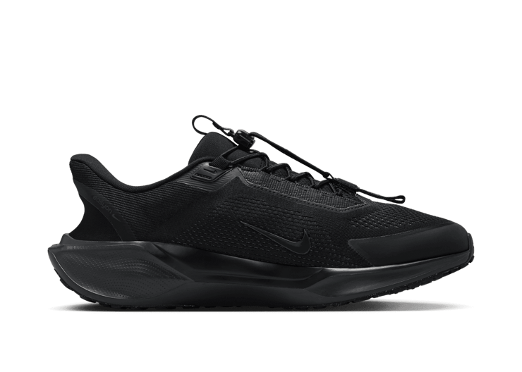 Nike Pegasus EasyOn Road