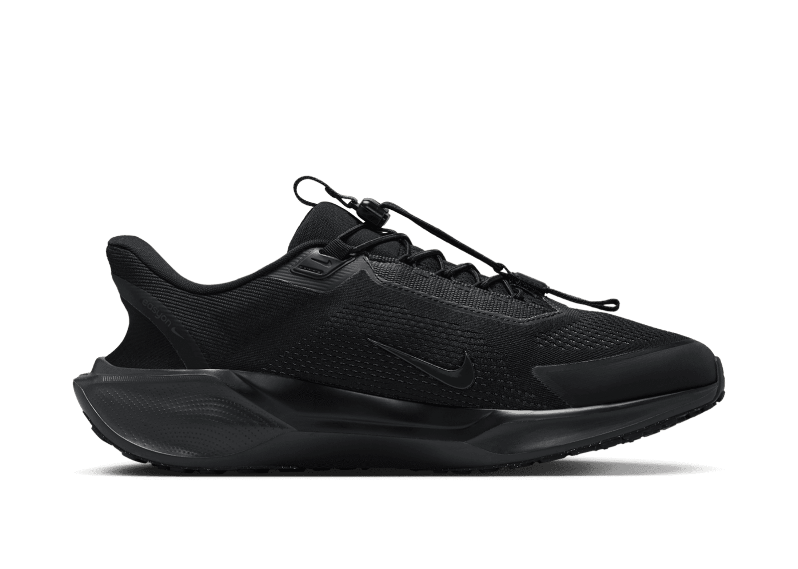 Nike Pegasus EasyOn Road