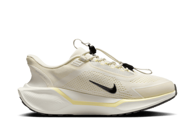 Nike Pegasus EasyOn Road