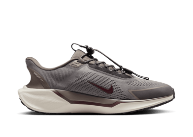 Nike Pegasus EasyOn Road