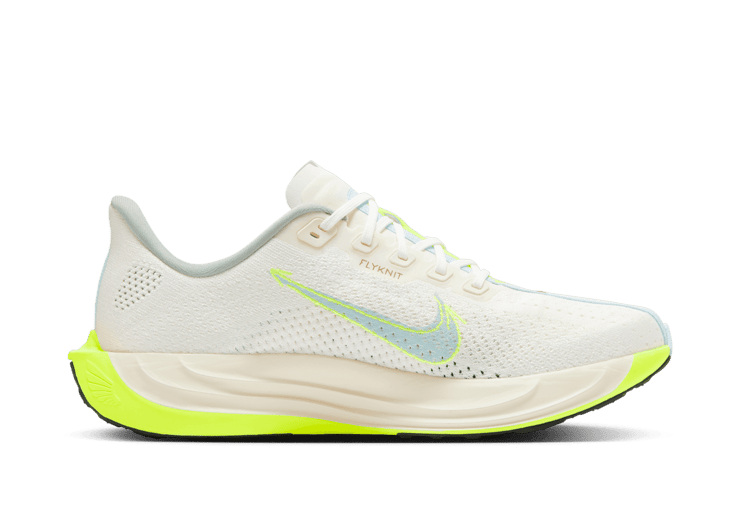 Nike Pegasus Plus Road