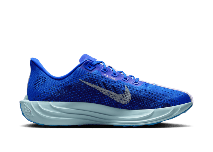 Nike Pegasus Plus Road