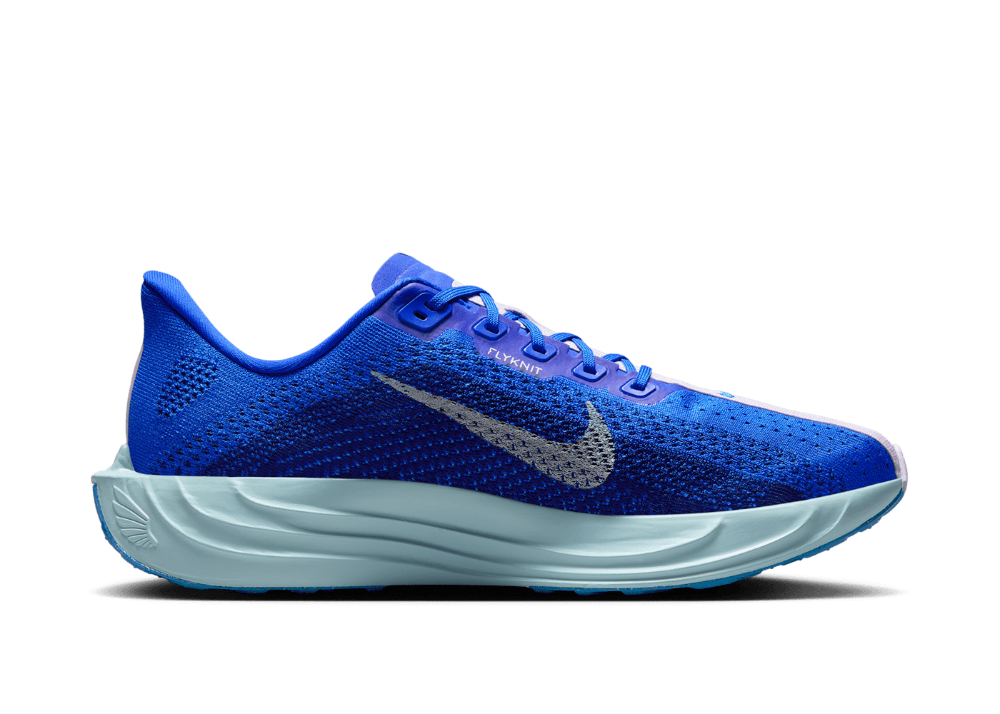 Nike Pegasus Plus Road