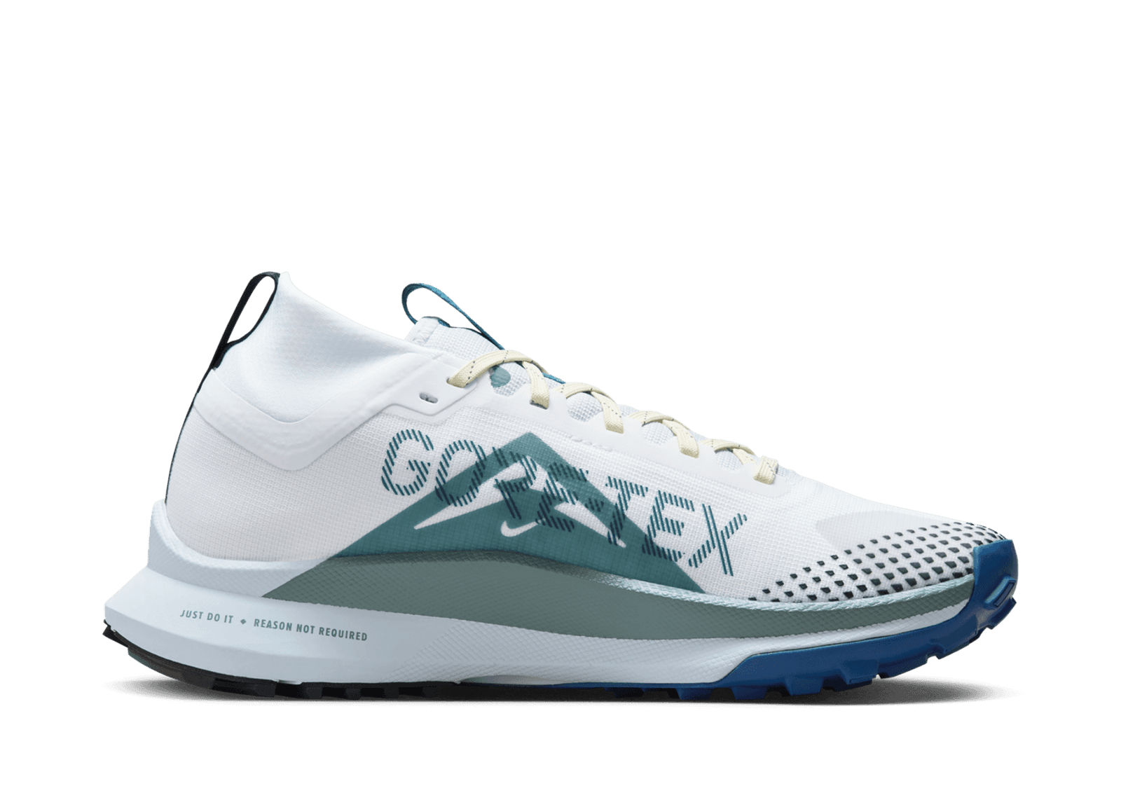 Nike Pegasus Trail 4 GORE-TEX Waterproof Trail - DJ7929-102 Release Info