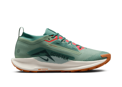 Nike Pegasus Trail 5 GORE-TEX 'Jade Horizon'