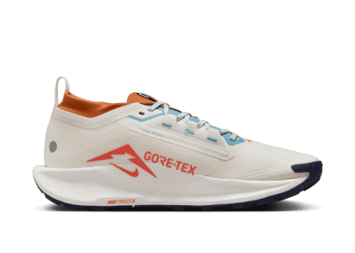 Nike Pegasus Trail 5 GORE-TEX 'Phantom Vintage Coral'