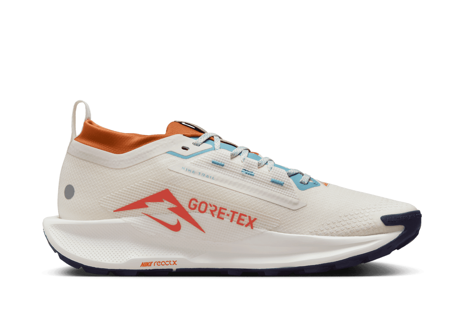Nike Pegasus Trail 5 GORE-TEX 'Phantom Vintage Coral'