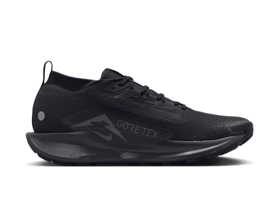 Nike Pegasus Trail 5 GORE-TEX Waterproof Trail