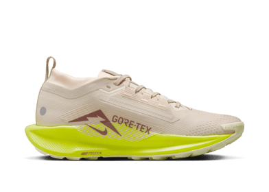 Nike Pegasus Trail 5 GORE-TEX Waterproof Trail