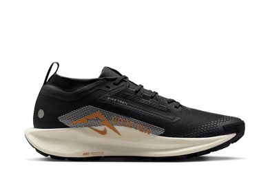 Nike Pegasus Trail 5 GORE-TEX Waterproof Trail