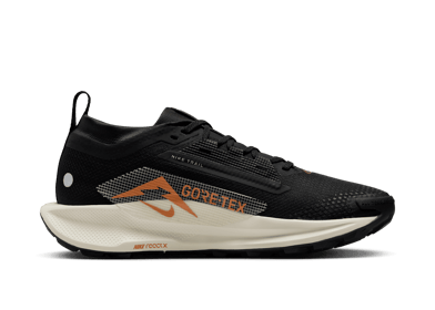 Nike Pegasus Trail 5 GORE-TEX Waterproof Trail