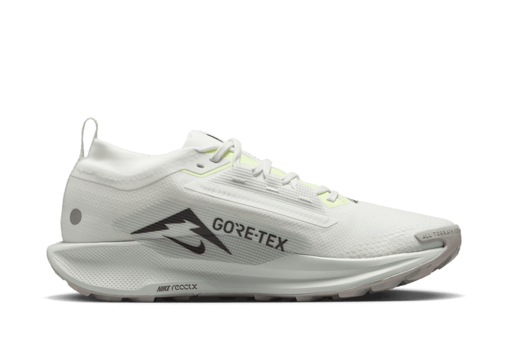 Nike Pegasus Trail 5 GORE-TEX Waterproof Trail