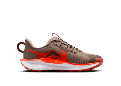 Nike Pegasus Trail 5 Trail (GS)