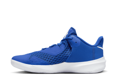 Nike Zoom Hyperspeed Court 'Game Royal'