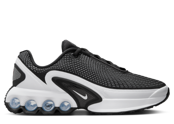 Nike Air Max DN Black White (GS)
