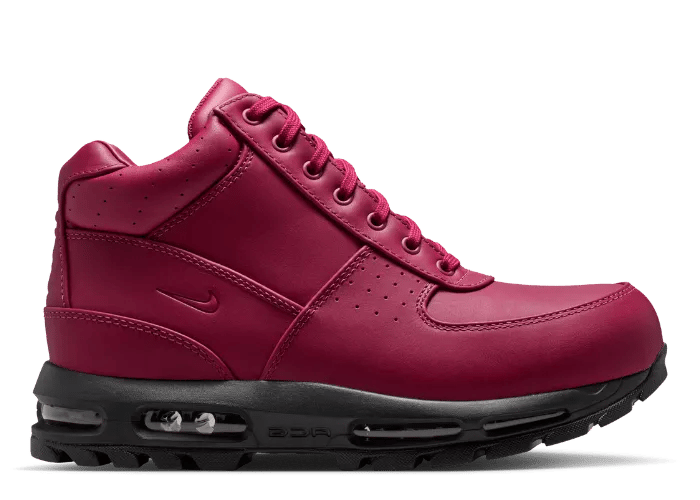 Nike Air Max Goadome DMV