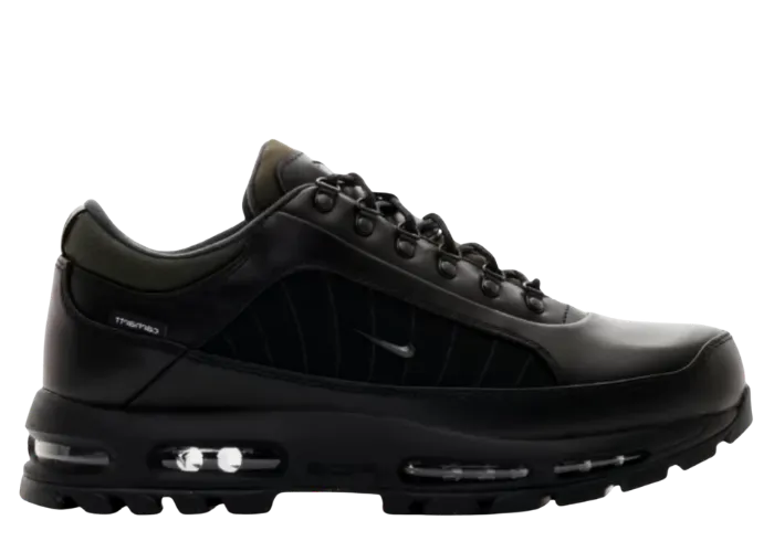 Nike Air Max Goadome Low Carhartt WIP Black