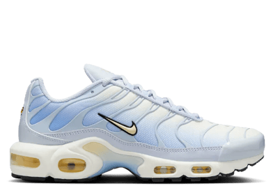 Nike Air Max Plus Daybreak (W)
