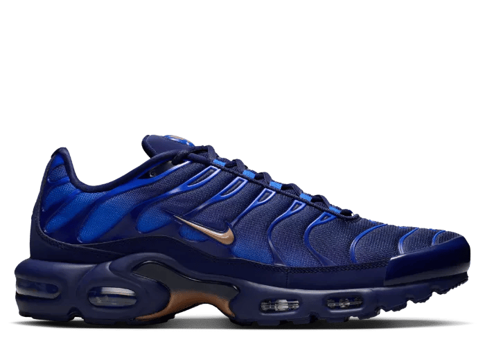 Nike Air Max Plus French Football Federation