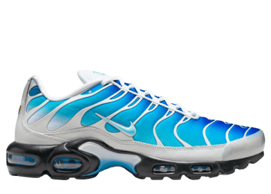 Nike Air Max Plus One Block Down Light Photo Blue
