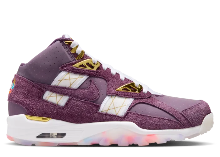 Nike Air Trainer SC Atlanta Olympics 30th Anniversary