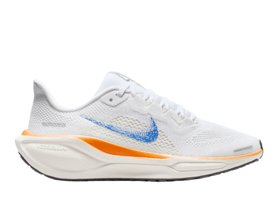 Nike Air Zoom Pegasus 41 FP Blueprint (GS)