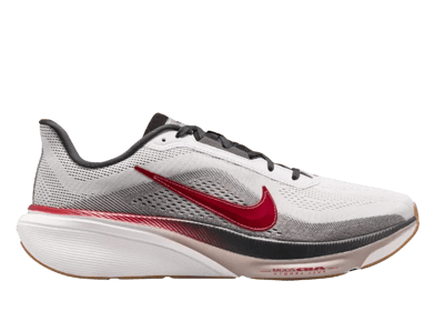 Nike Air Zoom Pegasus 42 Now and Then