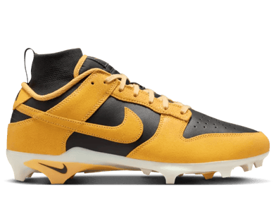 Nike Alpha Menace Dunk SE Iowa 