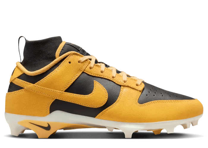 Nike Alpha Menace Dunk SE Iowa 
