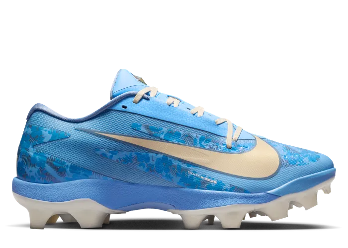 Nike Diamond Standout MCS Father's Day - IZ7909-400