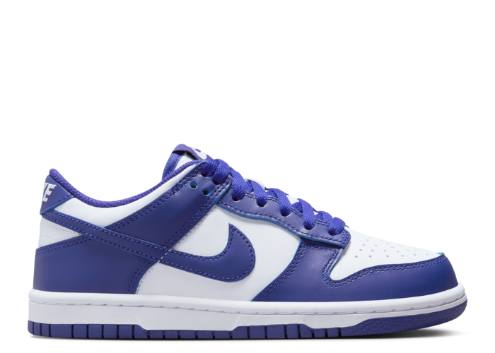 Nike Dunk Low Concord (GS)